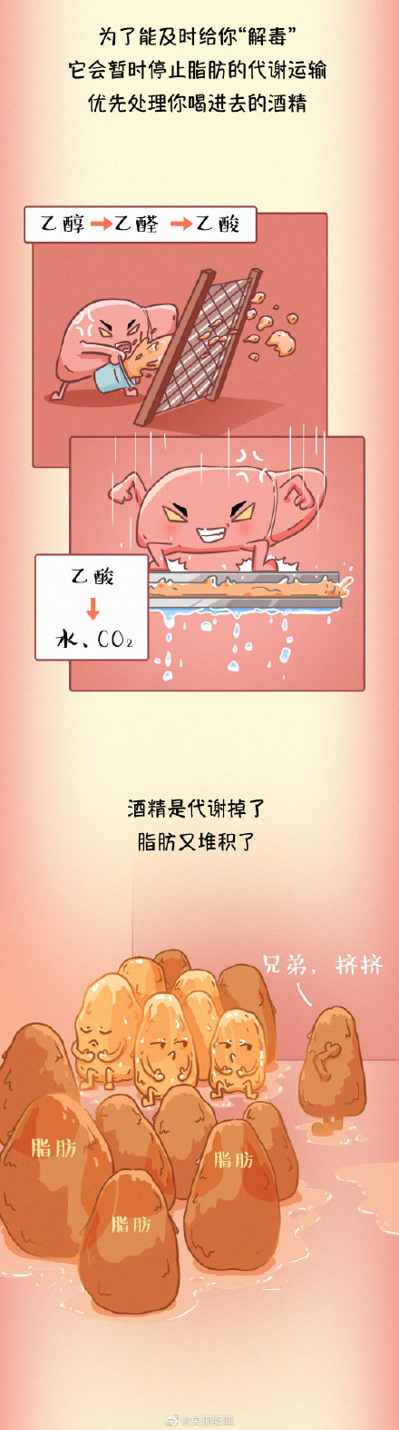 为健康转存！ 常见伤肝行为有哪些？